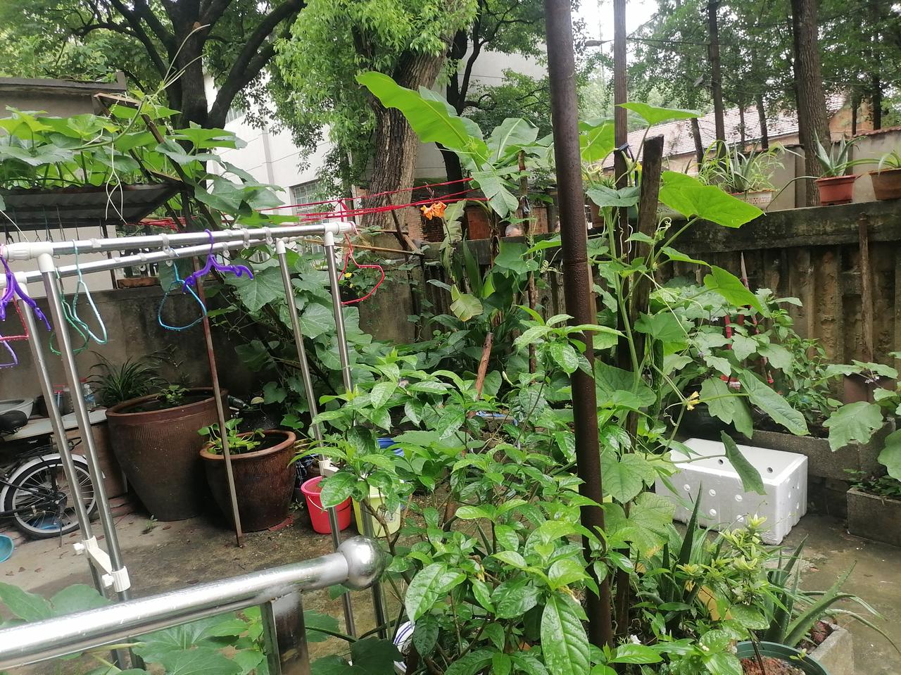 “似曾相似的梦境里，越来越乏味重复的剧情。”
这是柯文哲竞选歌曲《依然向前行》中