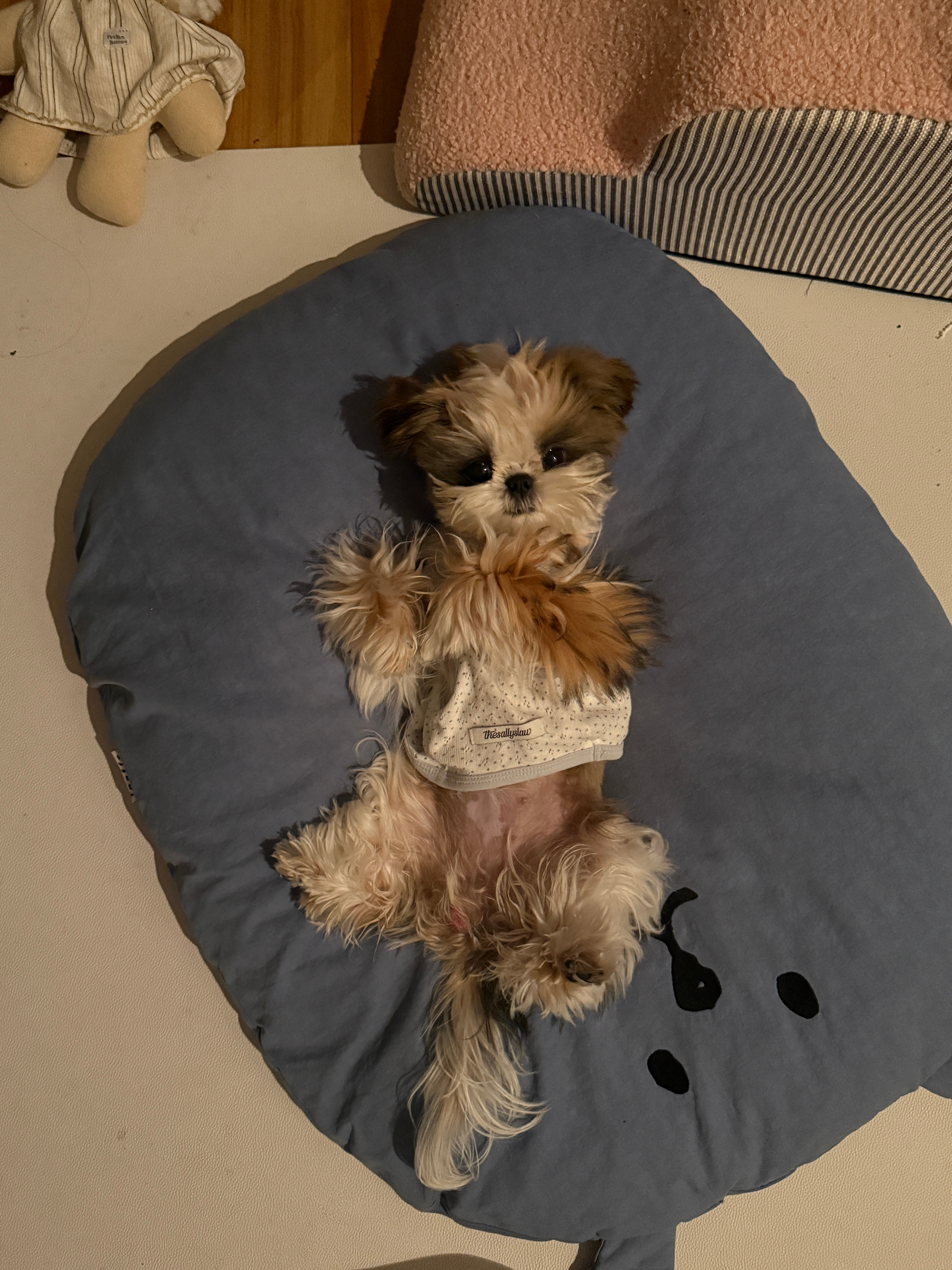 我有一个这么可爱的宝宝谁羡慕谁嫉妒 ​​​