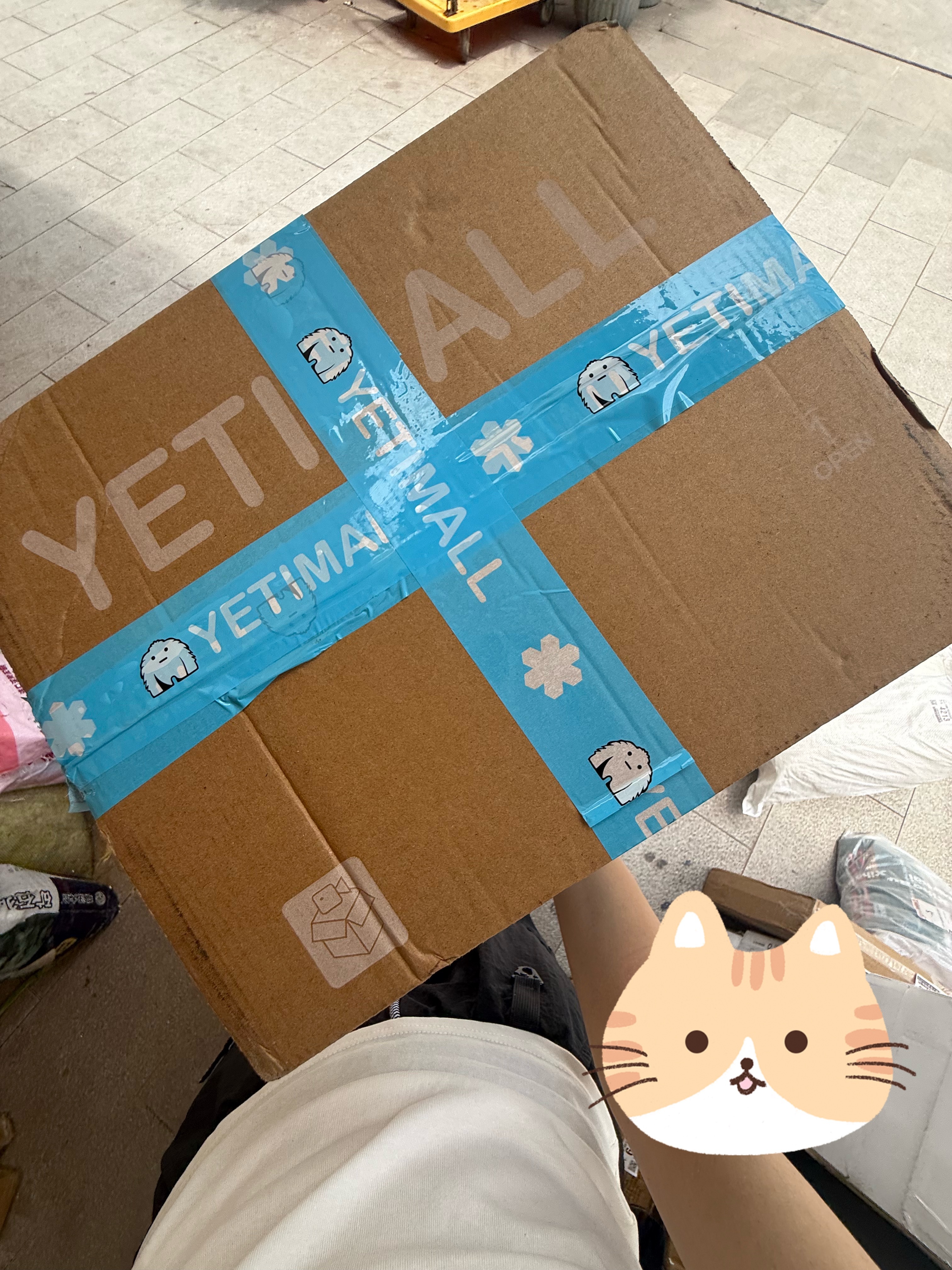 接这个骚福瑞回家 