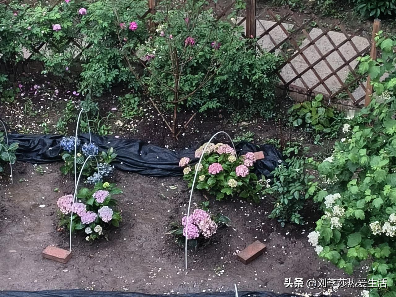 人是否幸福，并非由金钱和地位决定。我见过月薪仅几千元，却满脸笑容的普通人，也见过