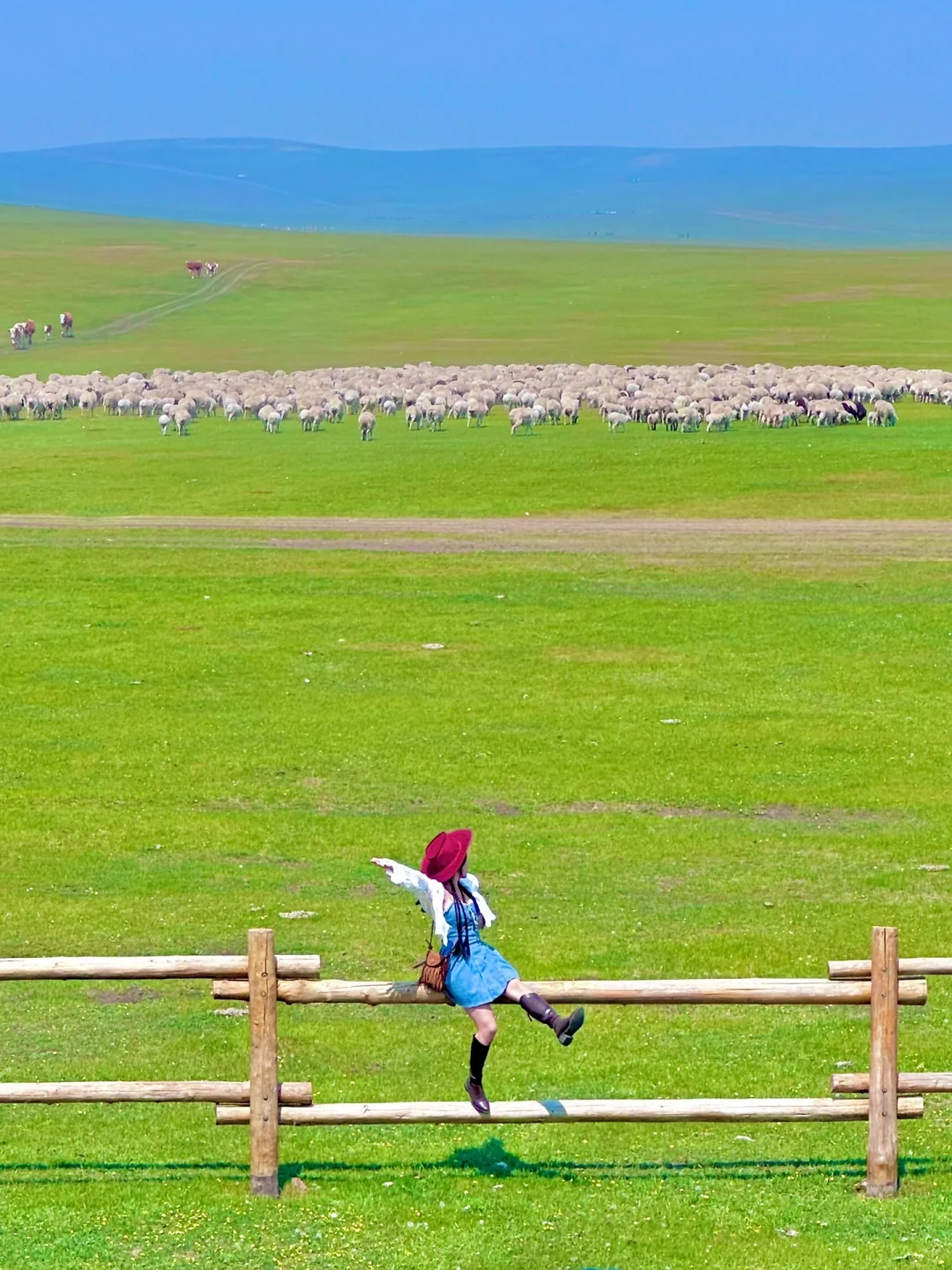 Live图｜6.2呼伦贝尔实况🌱被美哭啦😭😭😭