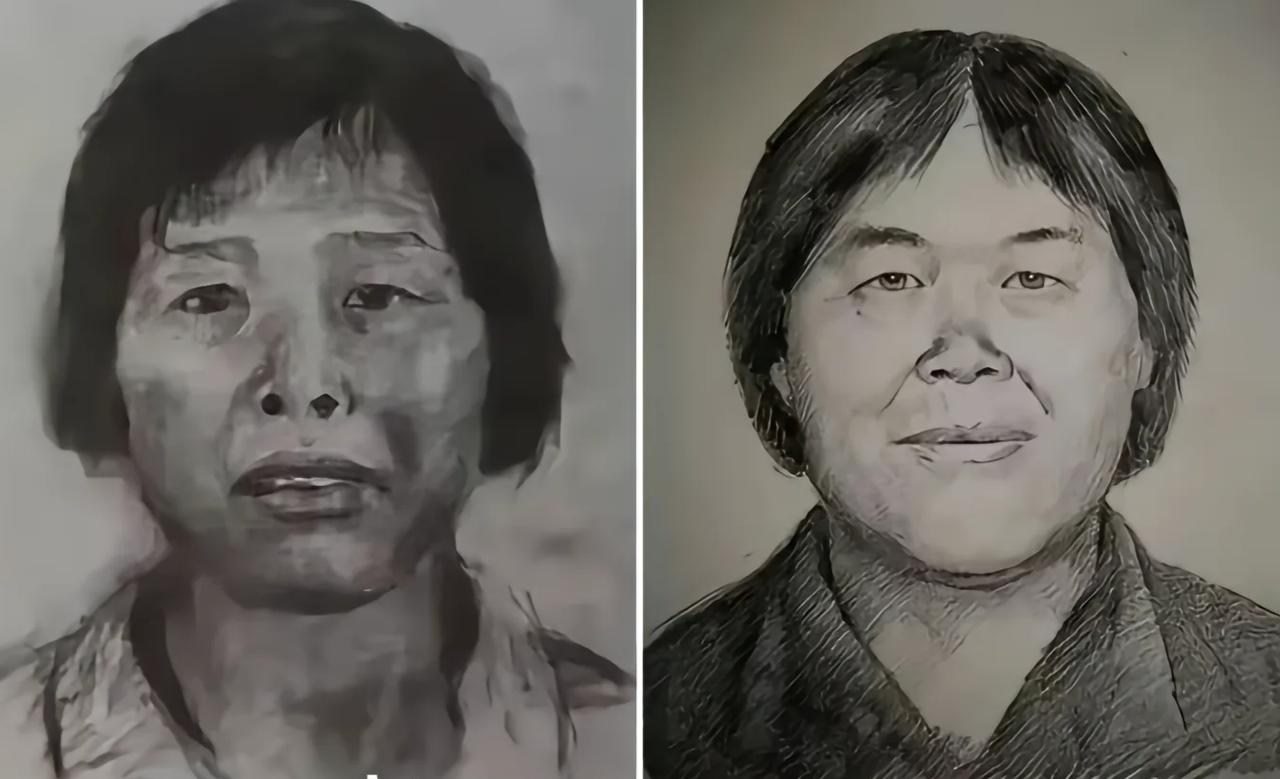 梅姨落网，大家最关心的其实是这9个问题。
1，梅姨的长相到底是什么样子的，是不是