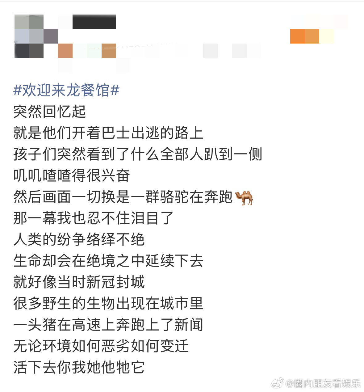 文牧野解读龙餐馆用来不用到🍲战火纷飞里安稳吃饭何其难得，片名一字之差，藏着文牧