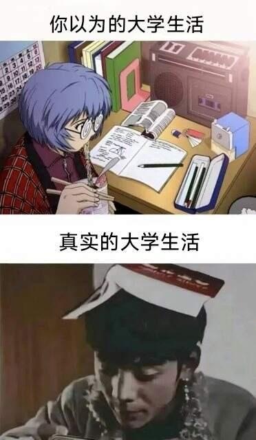 每日梗图 ！来笑