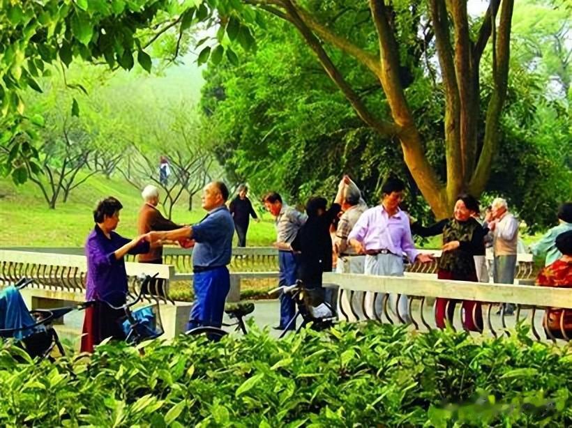 为何很多单身老人，宁愿晚年孤独，也不愿找老伴？皆因以下6点
单身的老人在晚年面临