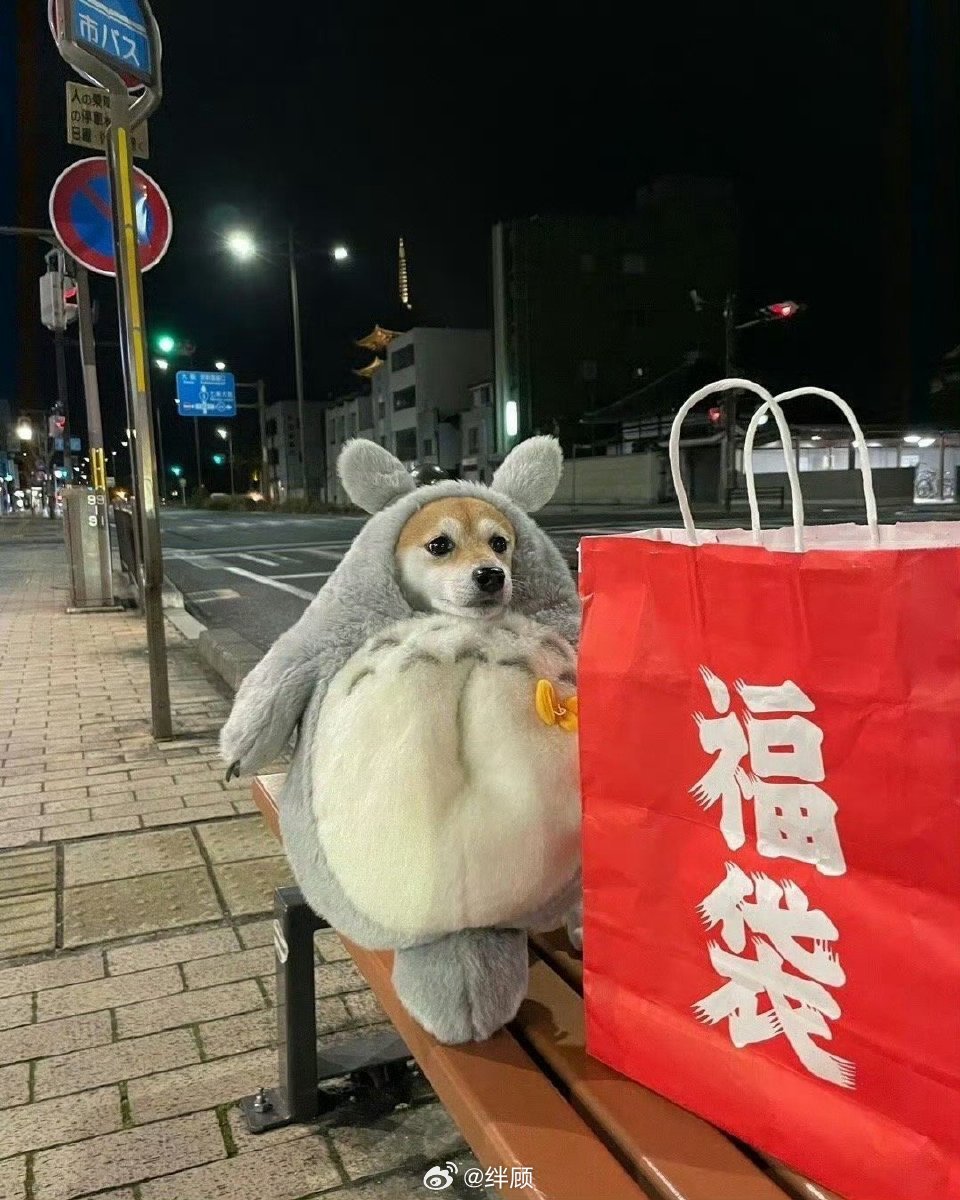 接福袋，转后整年顺利！ 