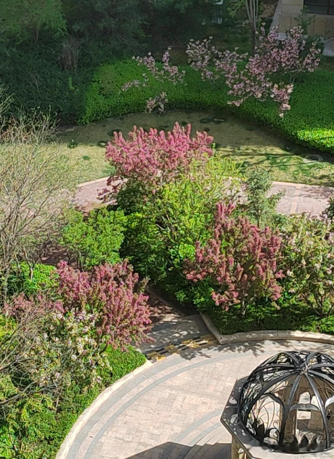 周末，我一个亲戚带着她的小孩上小学来我家玩儿，我很惊讶。

以前周末安排得满满当