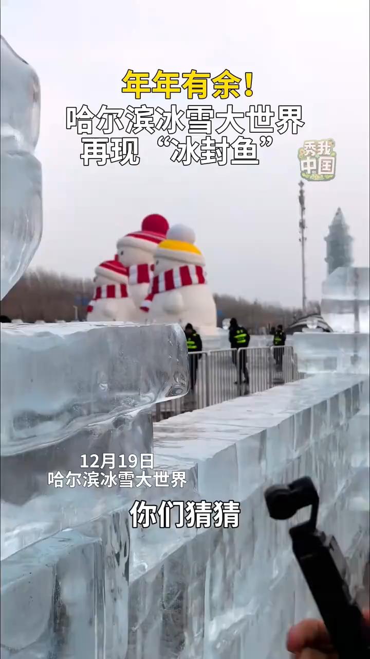 这也太会整活了吧！ 你们谁刷到哈尔滨冰雪大世界的“冰封鱼”了？藏在冰雕里超惊艳，