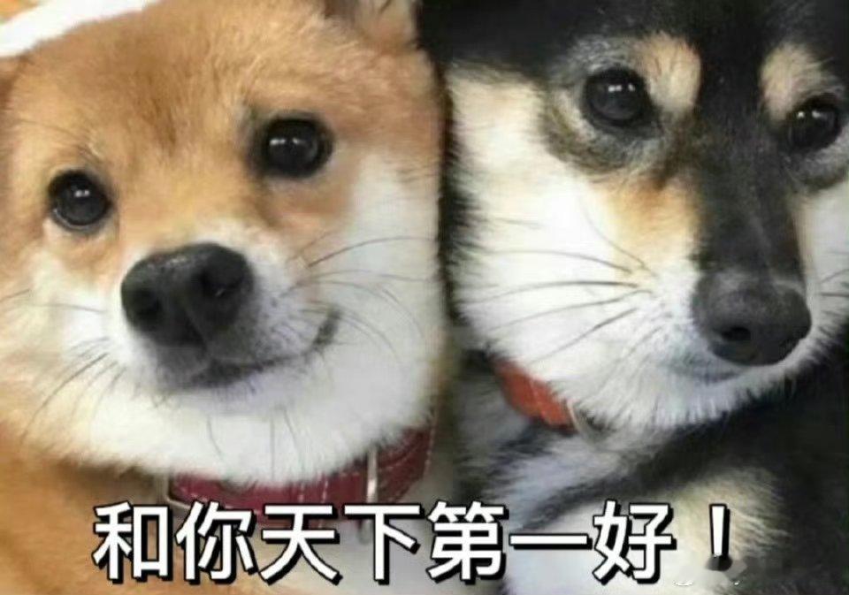 今天跟某人躺床腻歪睡下午觉 然后聊天说到以前 某人说了一句话特别戳我 感觉心里酸