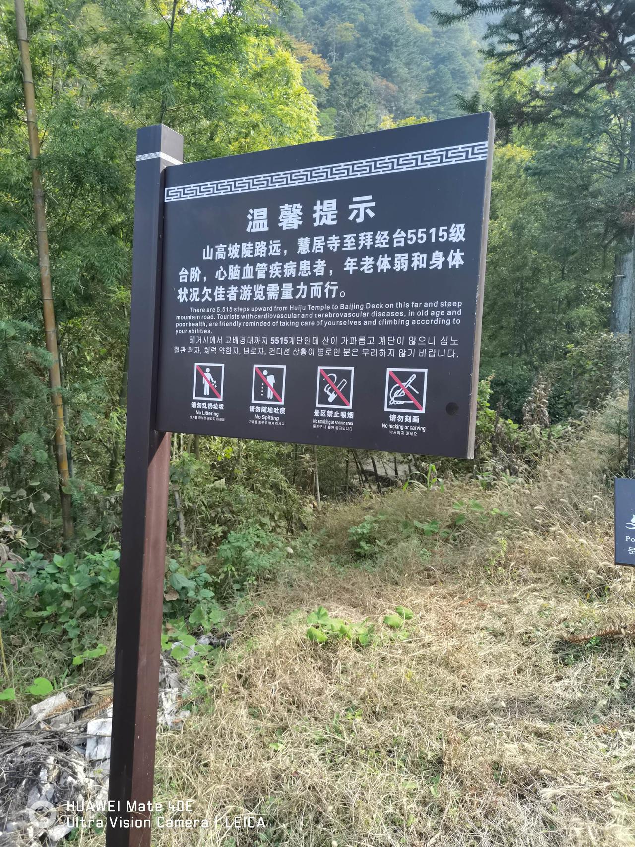 十點多從鳳凰松公交站徒步登“大天臺”，下午1點了多登頂並與果慧老尼師會合。老尼師