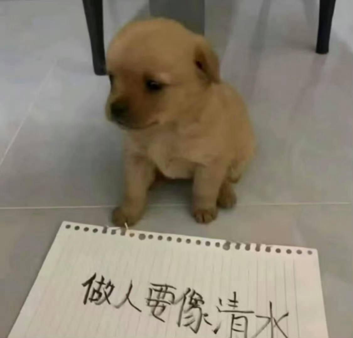 好好做人不如好好做鱼香忍 
