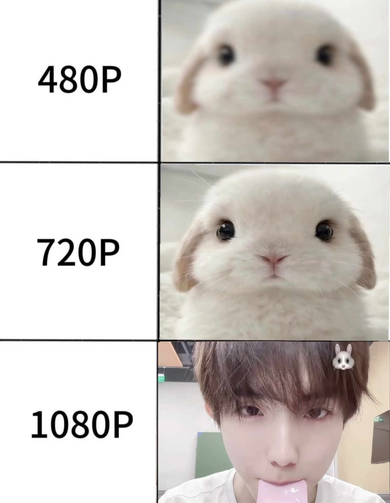 【4641】tg 兔子🐰的真面目原来是... 