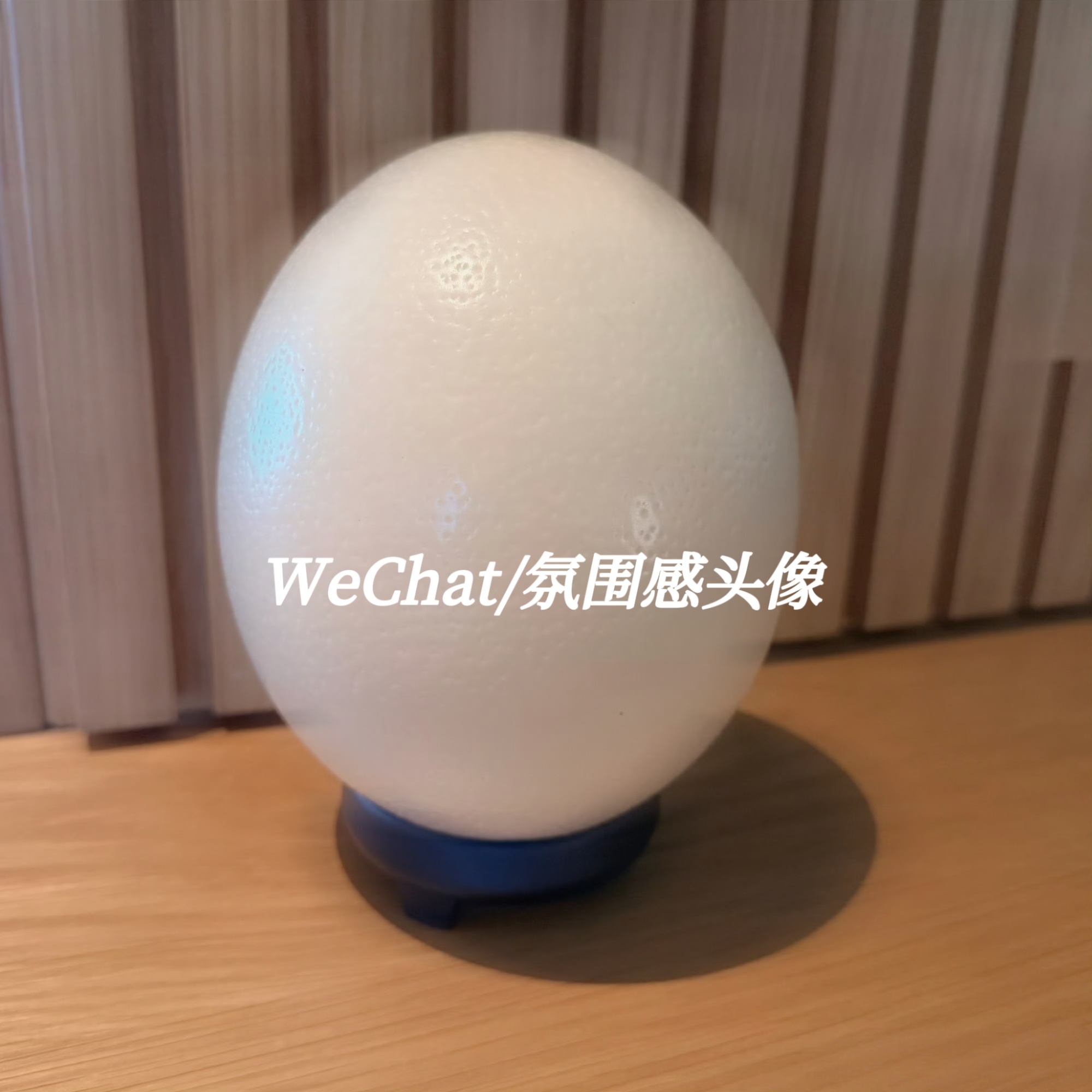 高伟光粉丝不明显头像 
