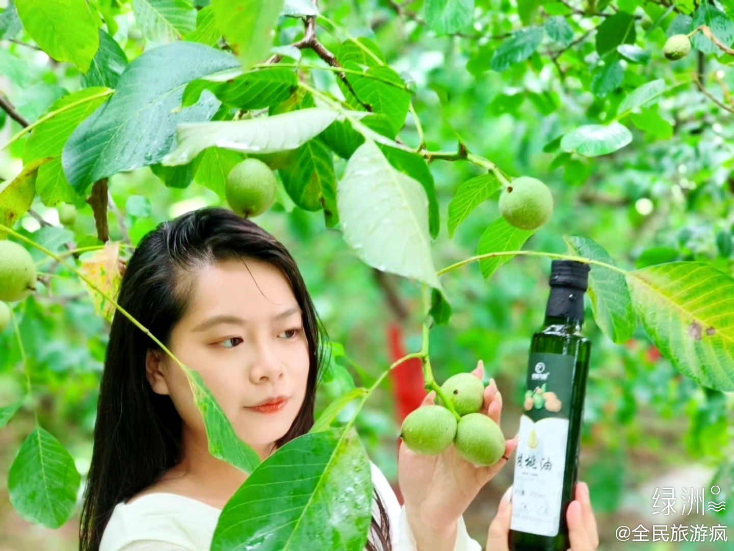 甘味九源核桃油：好果才出好油 8月初文游界一行人走进“中国核桃之乡”甘肃成县。清