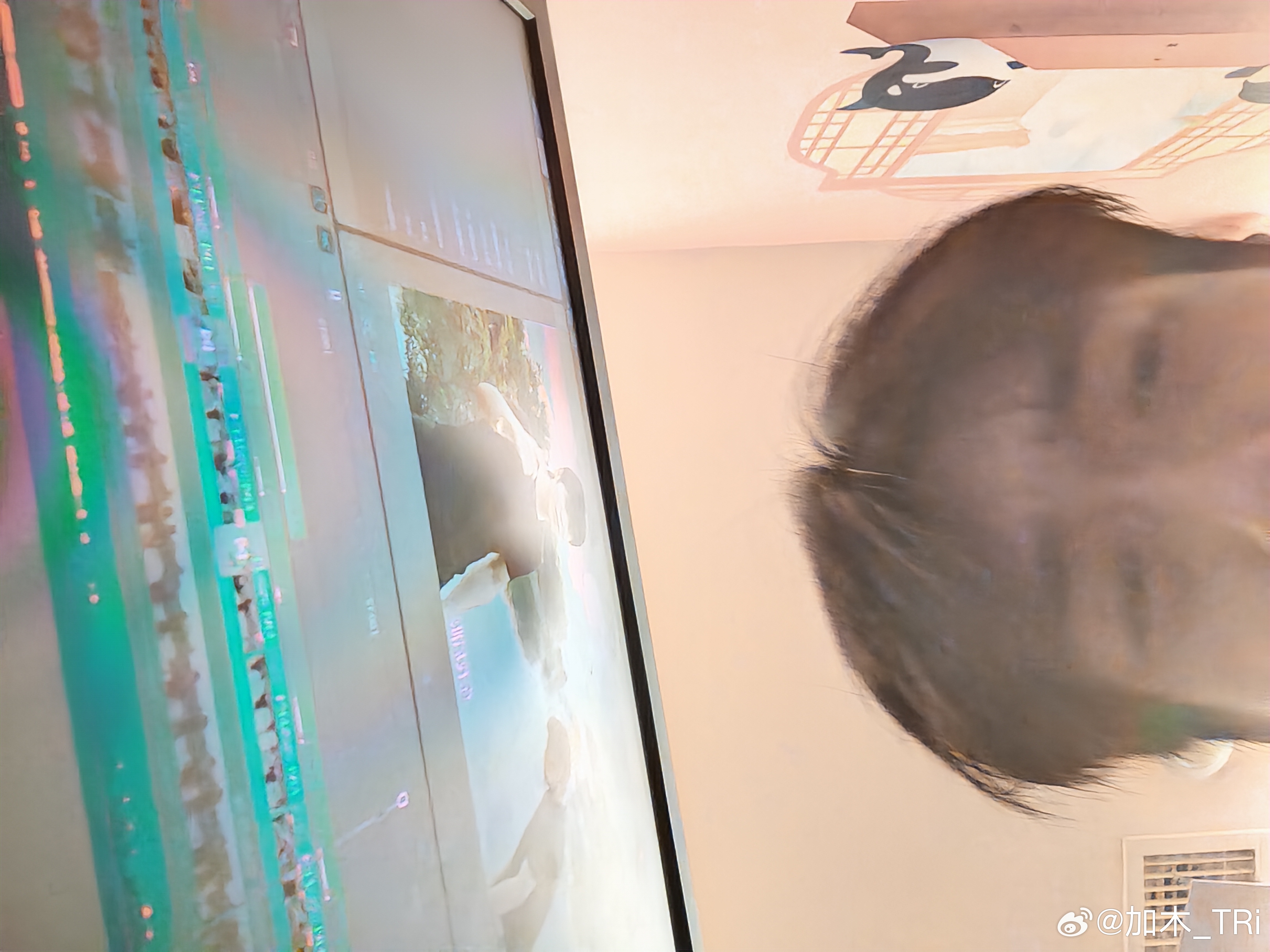 就这样两天嘉宾再网鱼网咖加班剪视频 