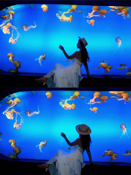 🌊超萌企鹅来啦！这个海洋公园的美到窒息…🌌 终于打卡了重庆唯一的国...