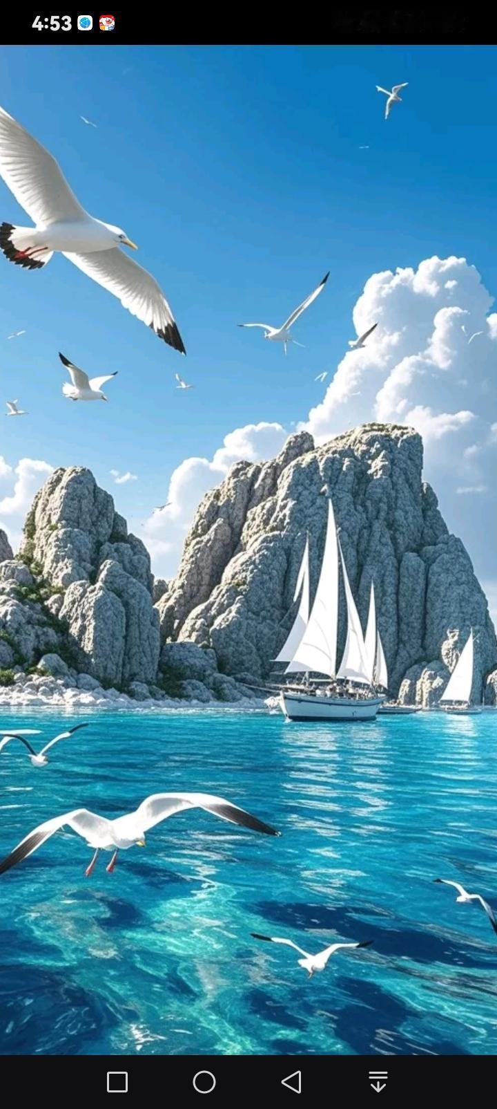 雪后的海面漾着粼粼波光，覆雪的礁石矗立成冷峻的诗行。海鸥振翅掠过澄澈的雪后长空，