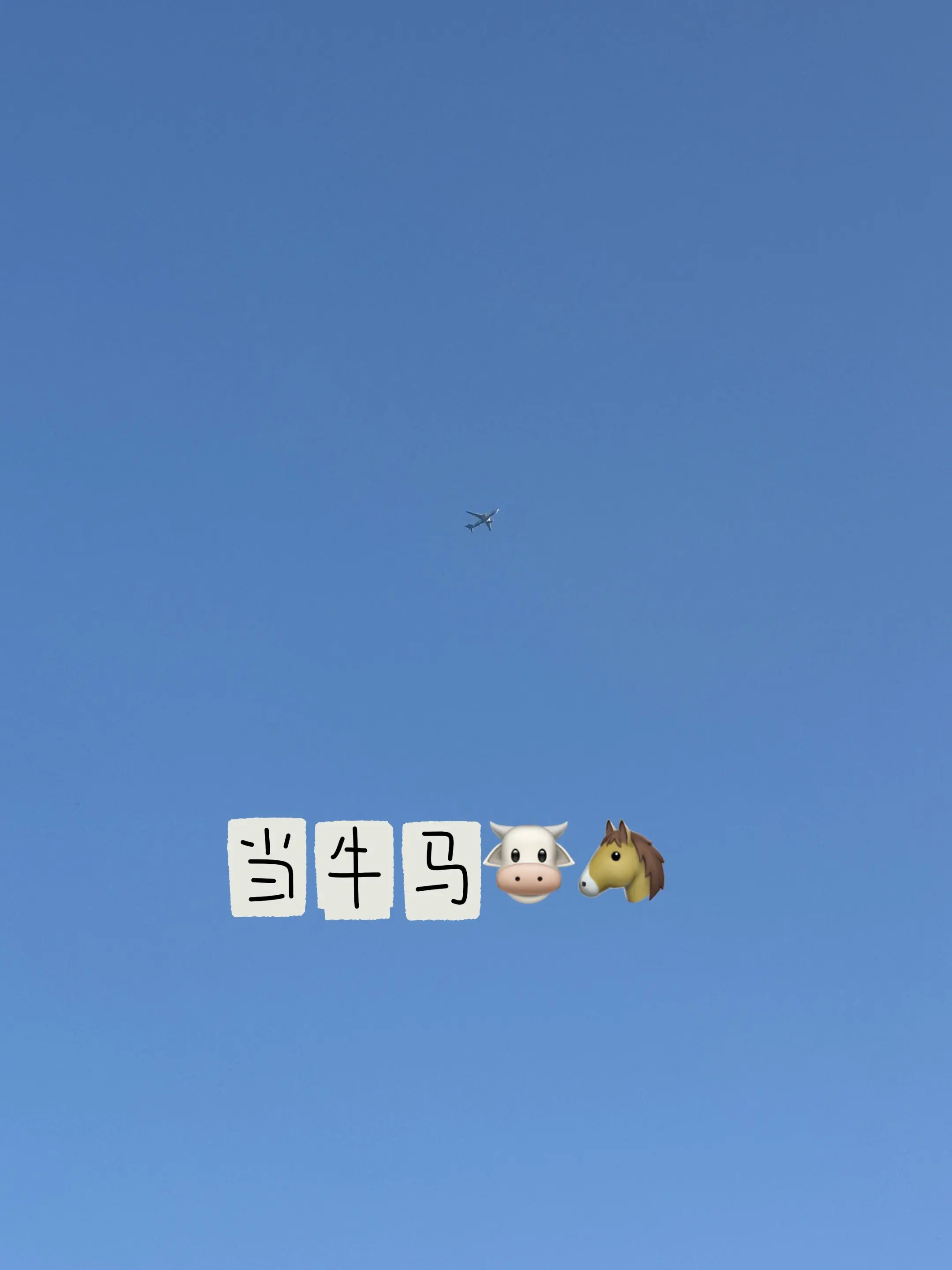 当牛马。