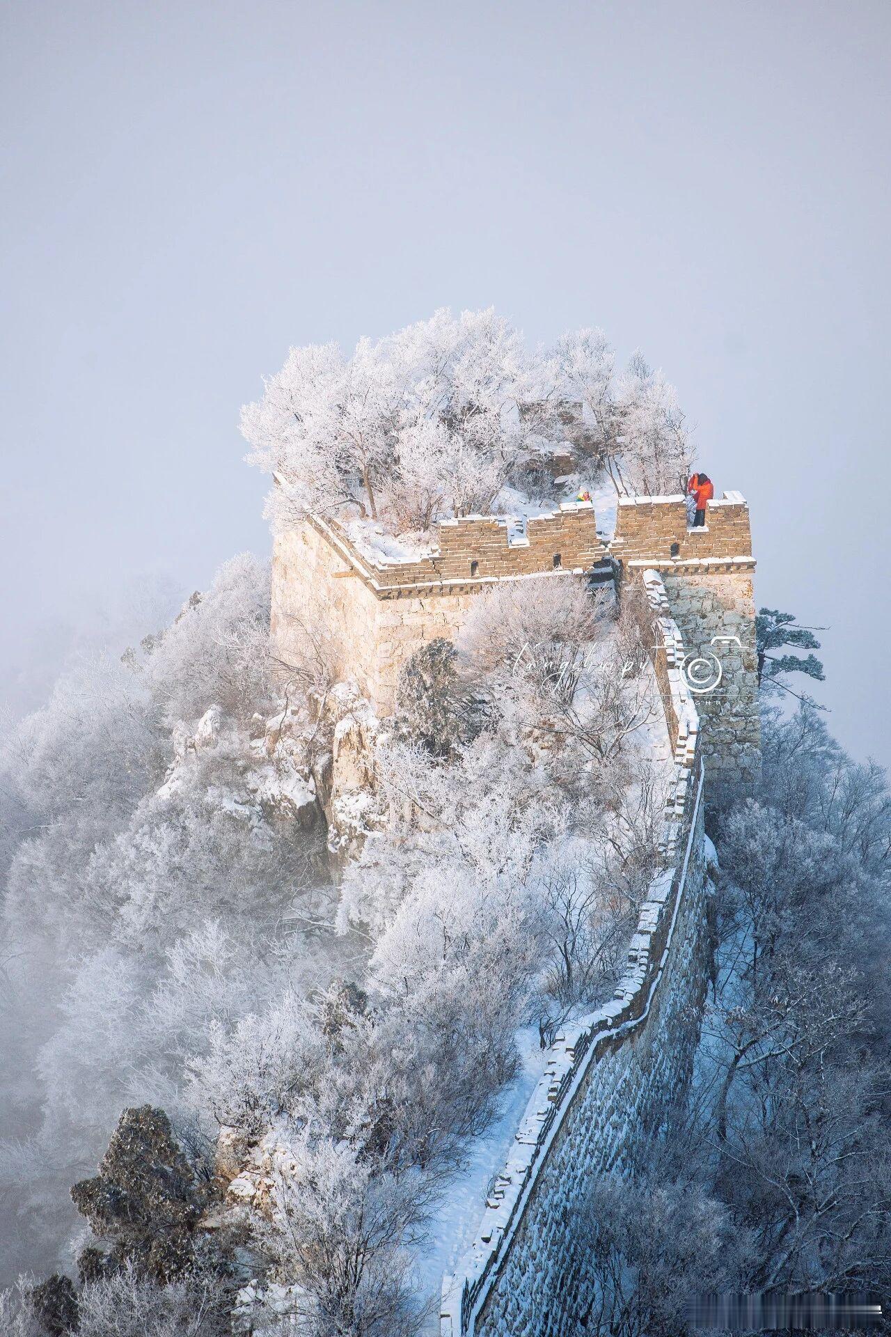 生活手记 雪后的北平 🆚 金陵，各有各的美，各有各的色彩和调调，但都是美得令人