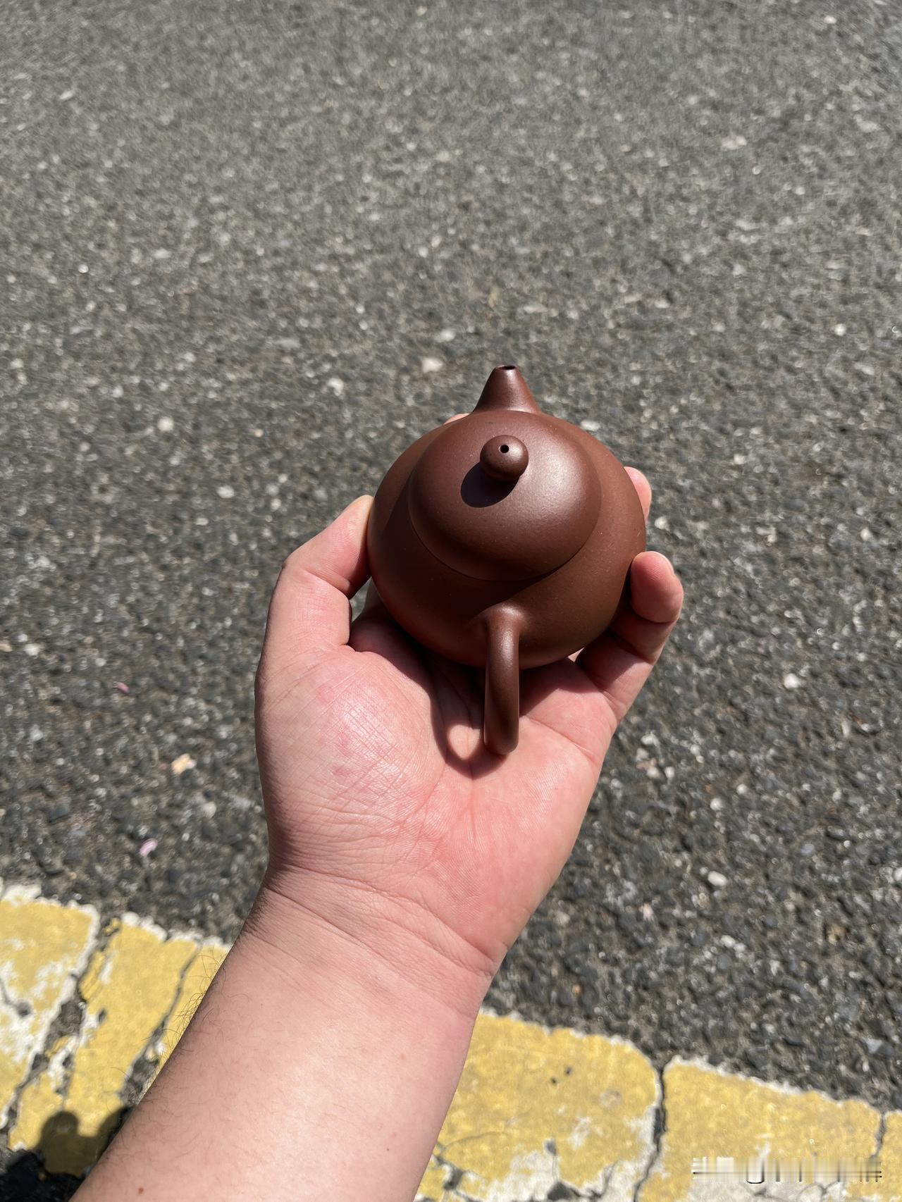 长得像西施，名字却叫文旦？这把壶凭什么在紫砂界火了300年？
在紫砂壶的大家族里