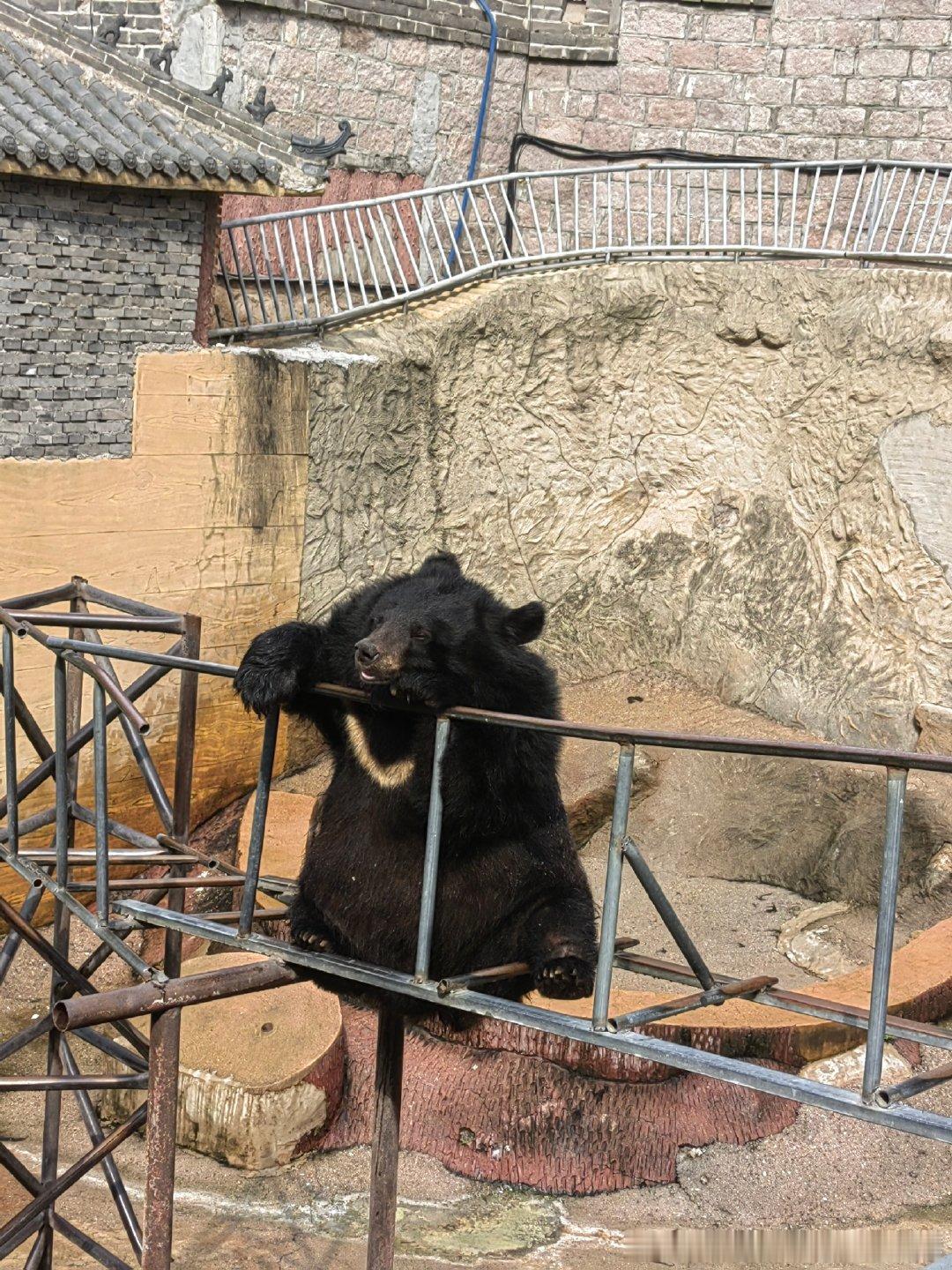 周五了，给你看看软下来的懒册。 ​​​