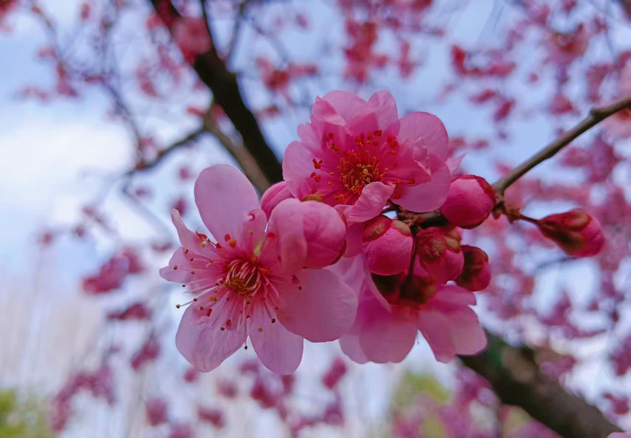 “干什么”用你的家乡话怎么说哈哈哈哈哈！我们这叫“干嘛”