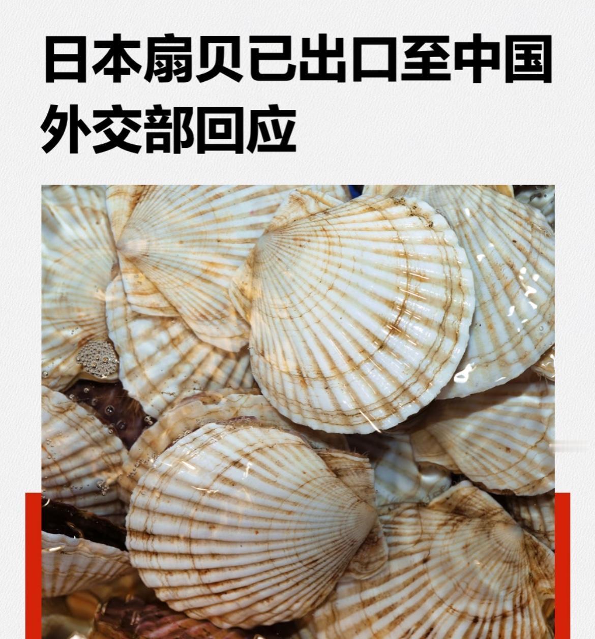 作为经常分享民生干货的博主，明确说：不会随便买日本进口扇贝，但也不是一刀切拒绝—