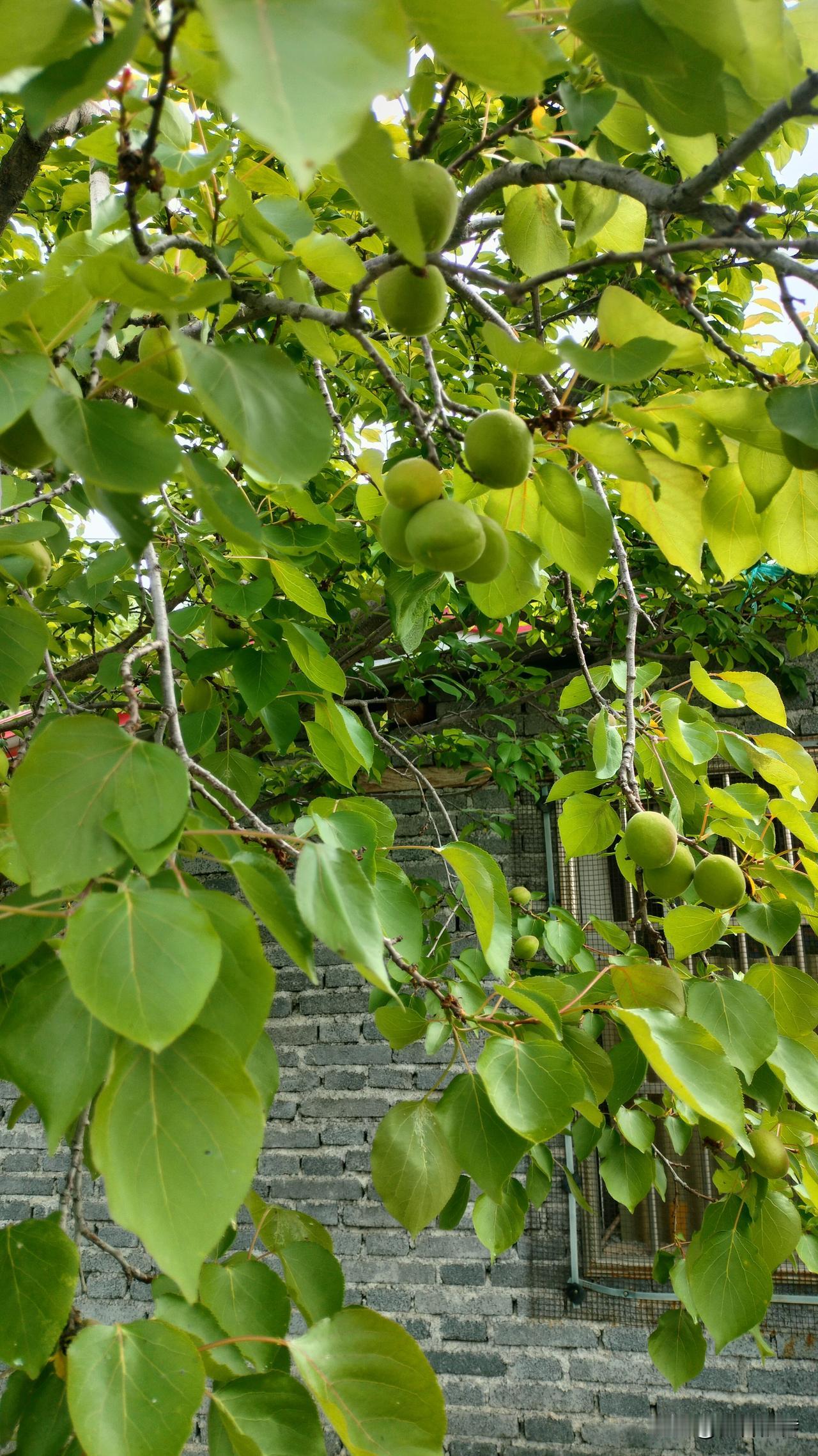 一生求而不得，与爱而不能，哪一种苦更让人难熬？有人穷尽一生也难觅一位，心意相通的