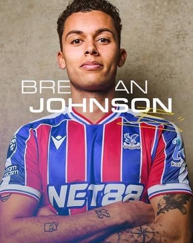 有什么想问布伦南约翰逊的吗？ 