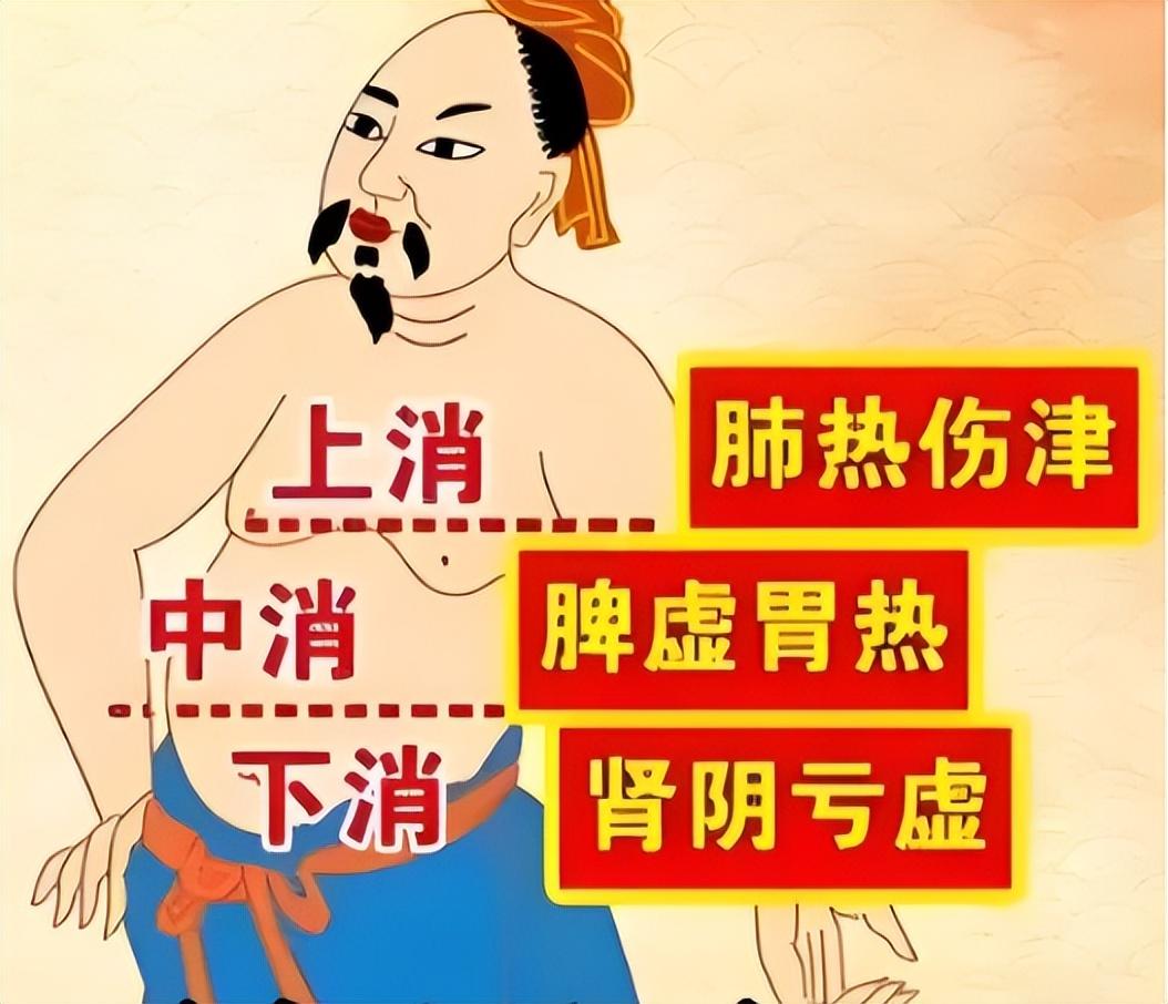 糖尿病缺的不是水，是津液！2 味药泡水，养阴生津、稳血糖
内容仅供参考，如有不适