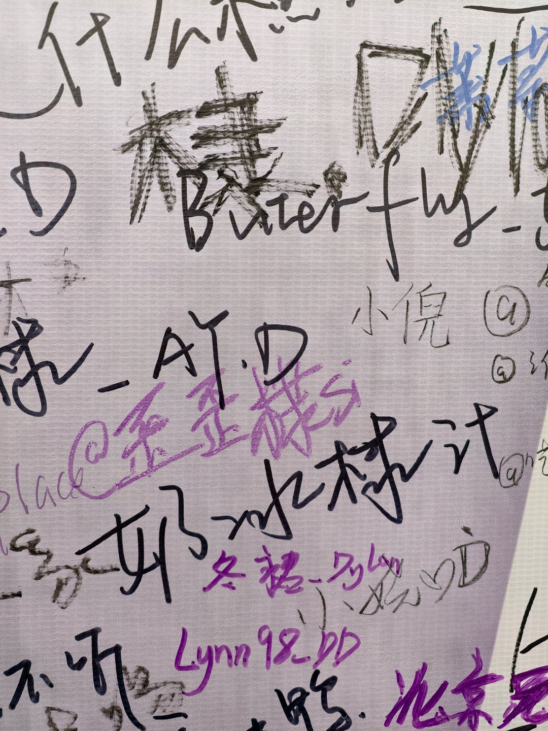 咔咔咔 带宝宝找宝宝王鹤棣的周末派对