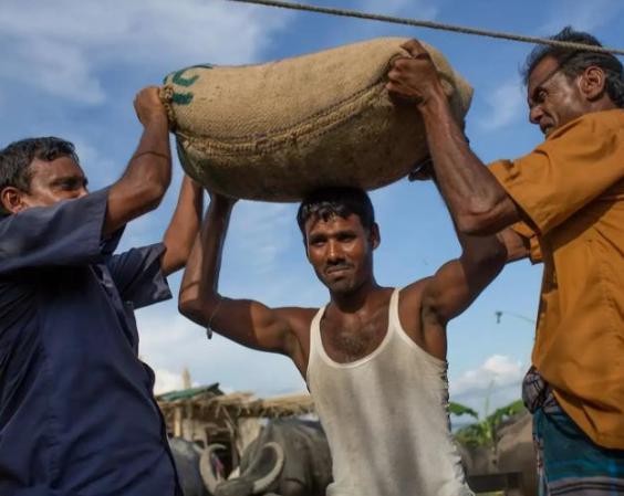 印度又整新活？喊话中方放开化肥管制，要求厂商低于市场价凑齐260万吨，中方坚决不