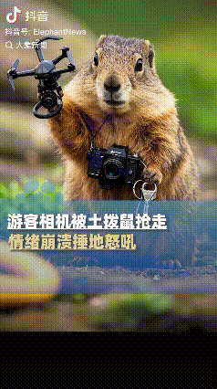 “离谱！”青海海北，男生情绪崩溃跪地，不是因为失恋了，也不是因为手机被偷了，竟然