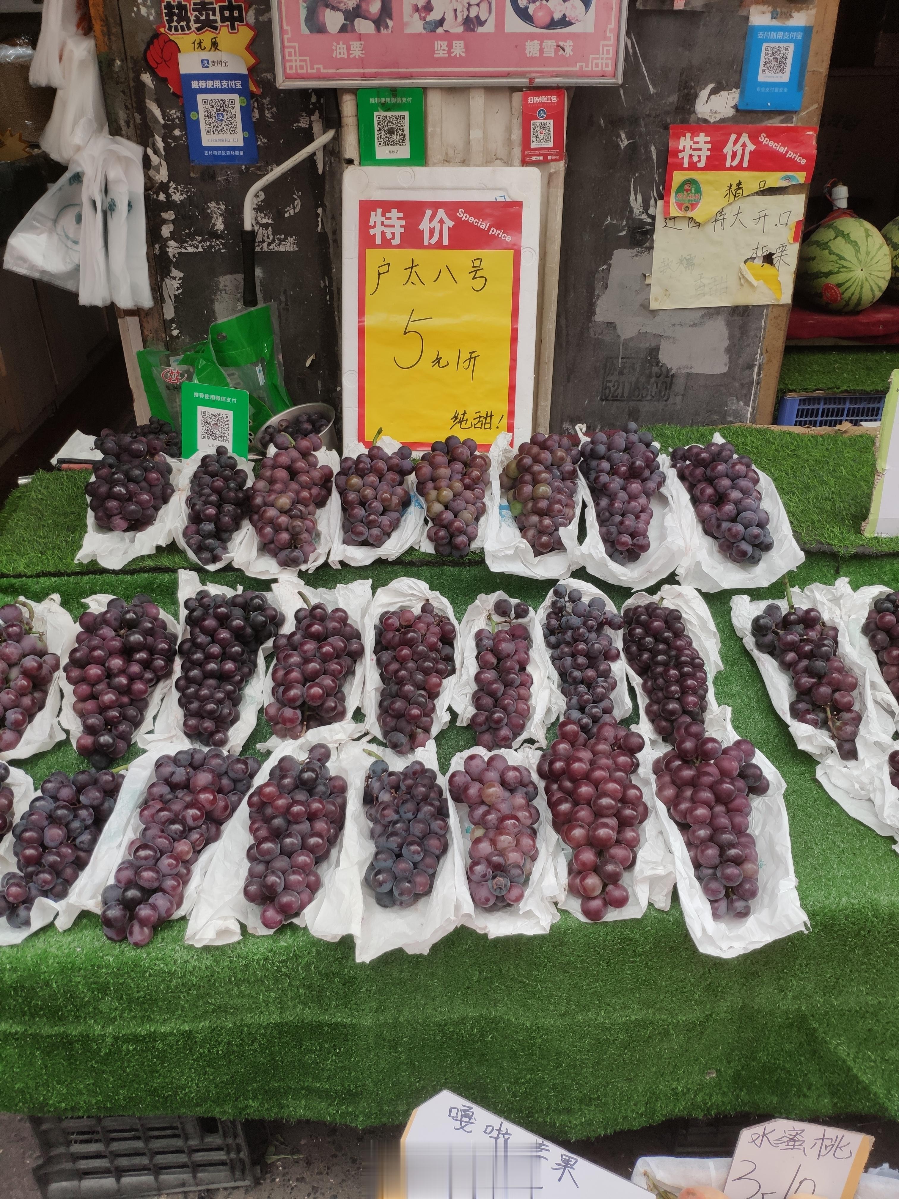#馒头控的日常# 秋天的命是户太八号的，就像夏天是西瓜的。  ​​​
