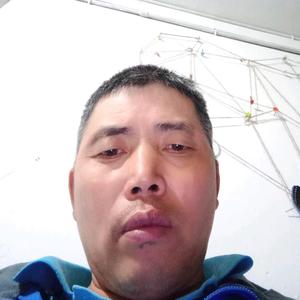彭达哥