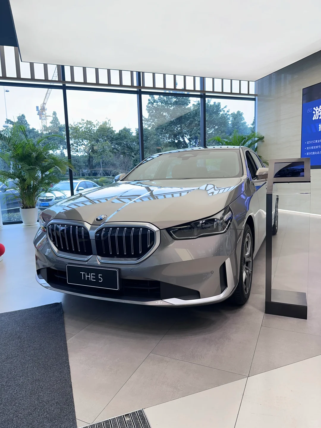 🎉春节倒计时，归家心切！🧳