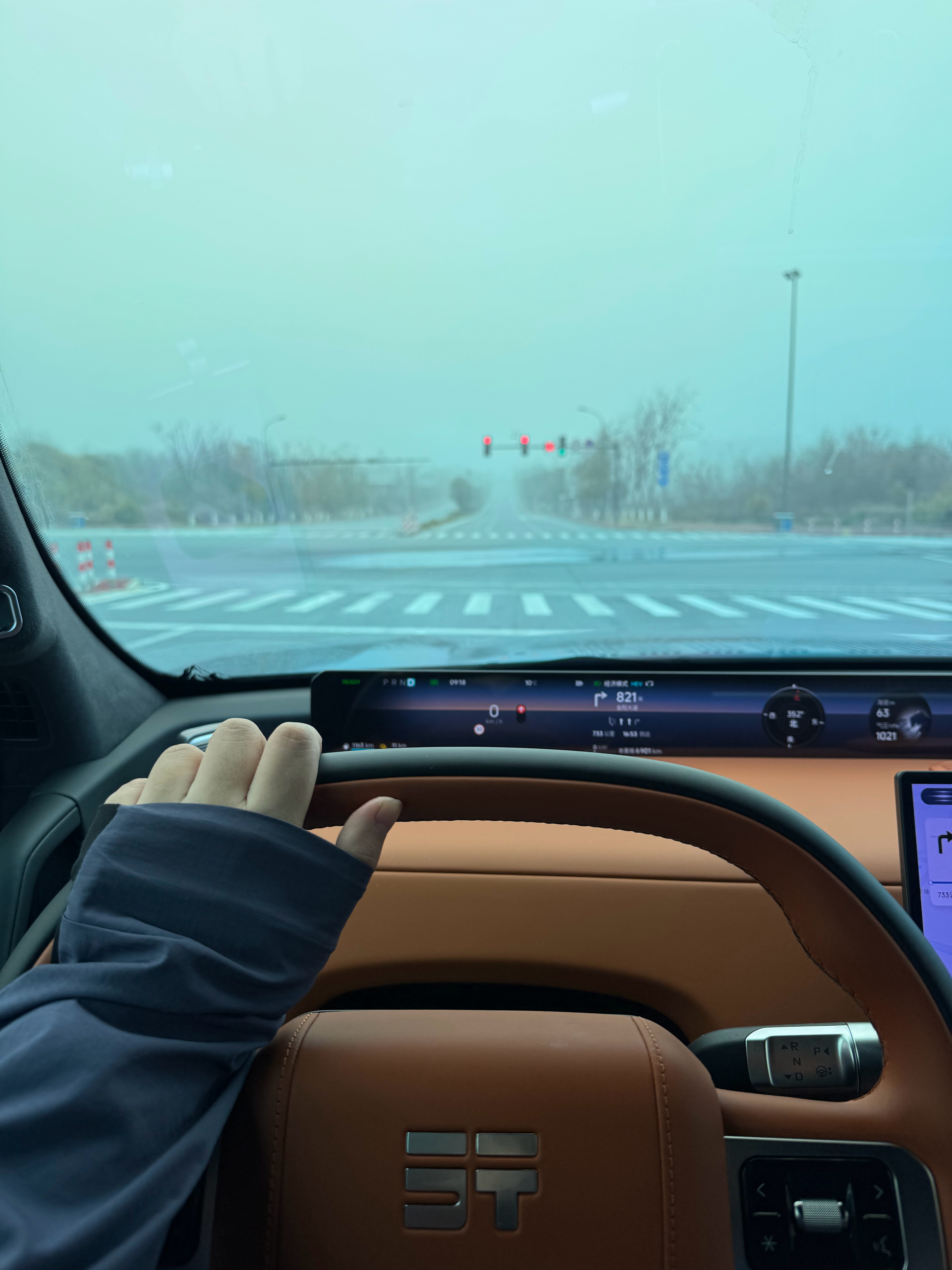 长沙这个天气也太寂静岭了今天我自己开车去芜湖到大哥的安徽老家蹭顿饭去八个小时 看