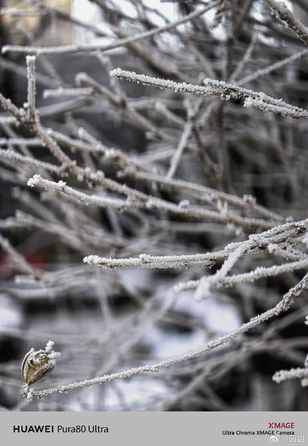 雪天真的适合拍照，超级有氛围感