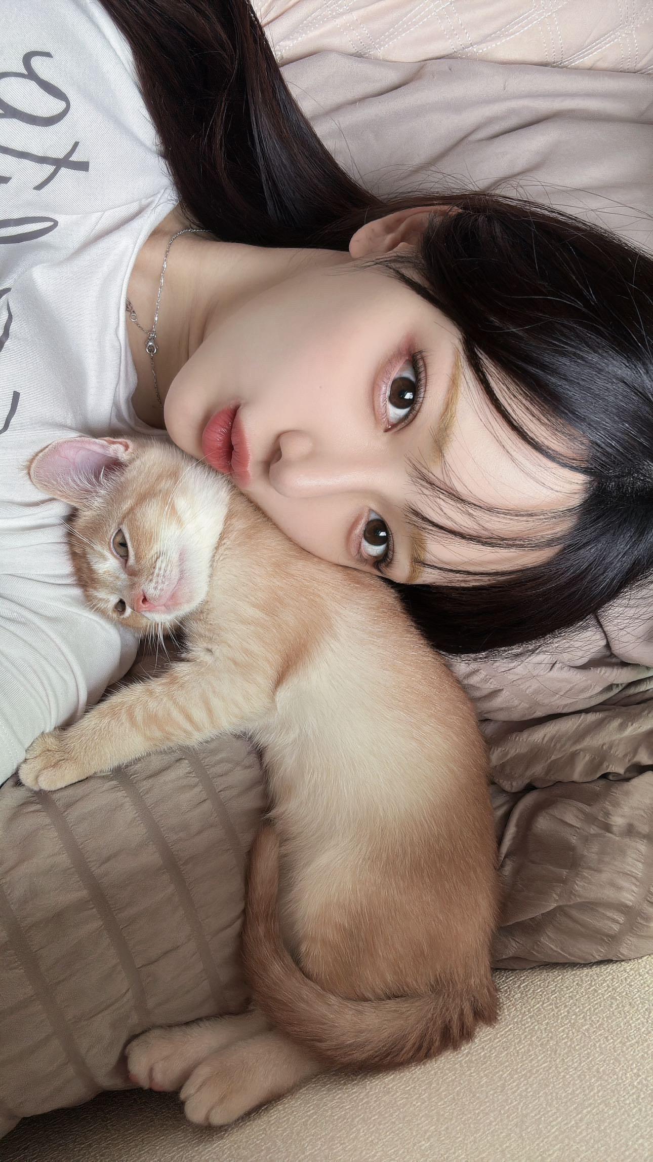 哈基米南北绿豆～