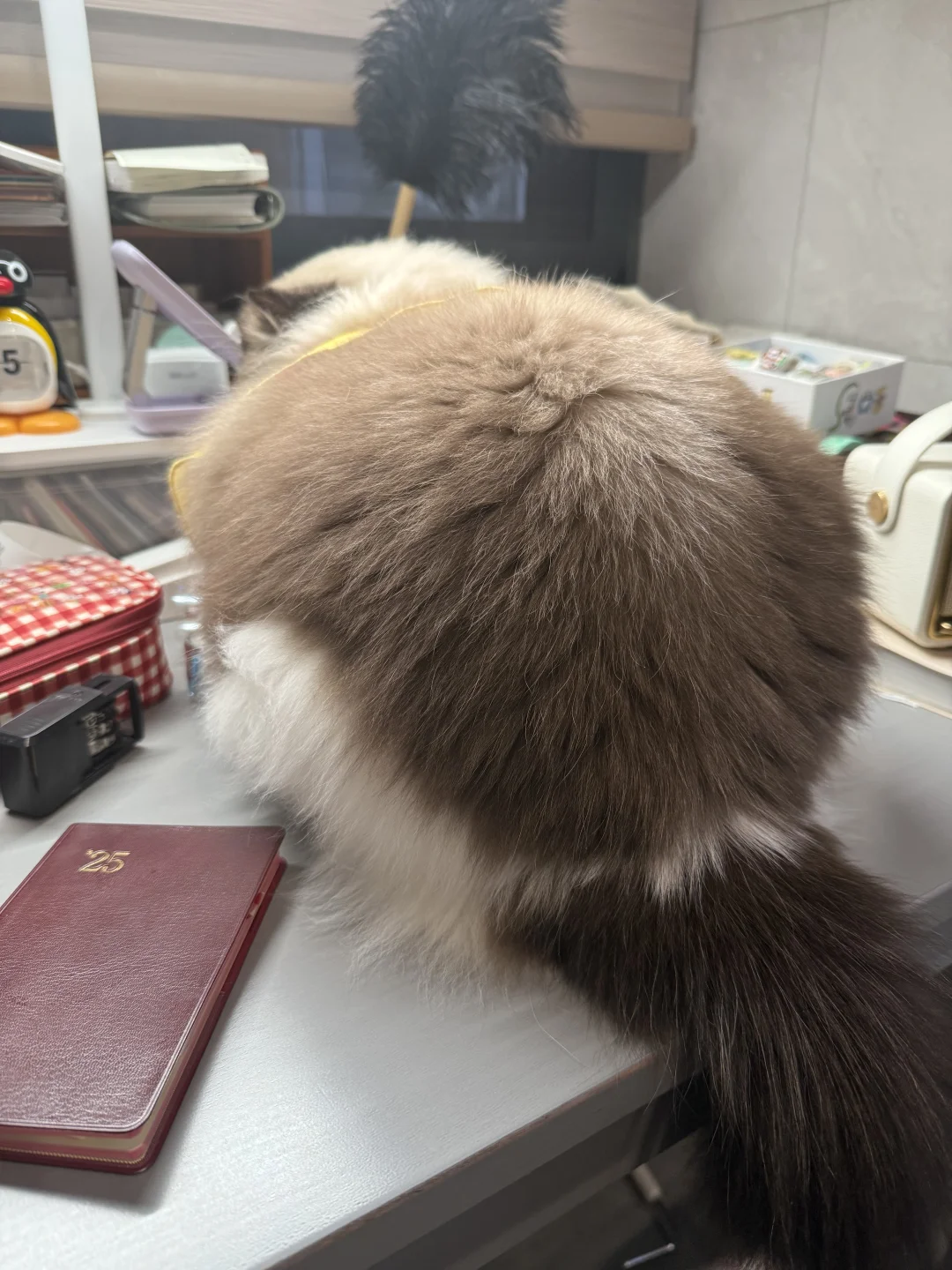 书桌上的庞然巨物