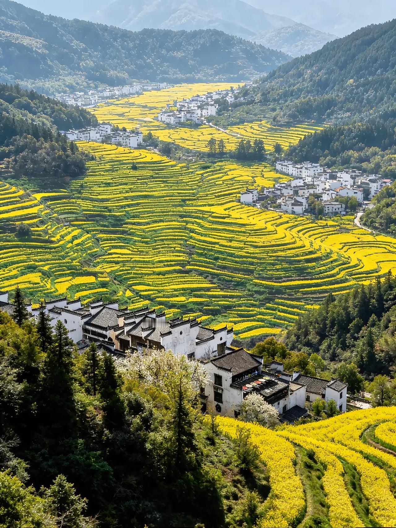 昨晚和朋友一起吃饭，朋友和他夫人在同一单位工作，具体单位我就不细说了，是南京一家