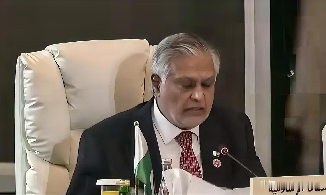 在约旦安曼举行的阿拉伯部长会议上，巴基斯坦外长达尔怒斥以色列，直指扩建定居点违反