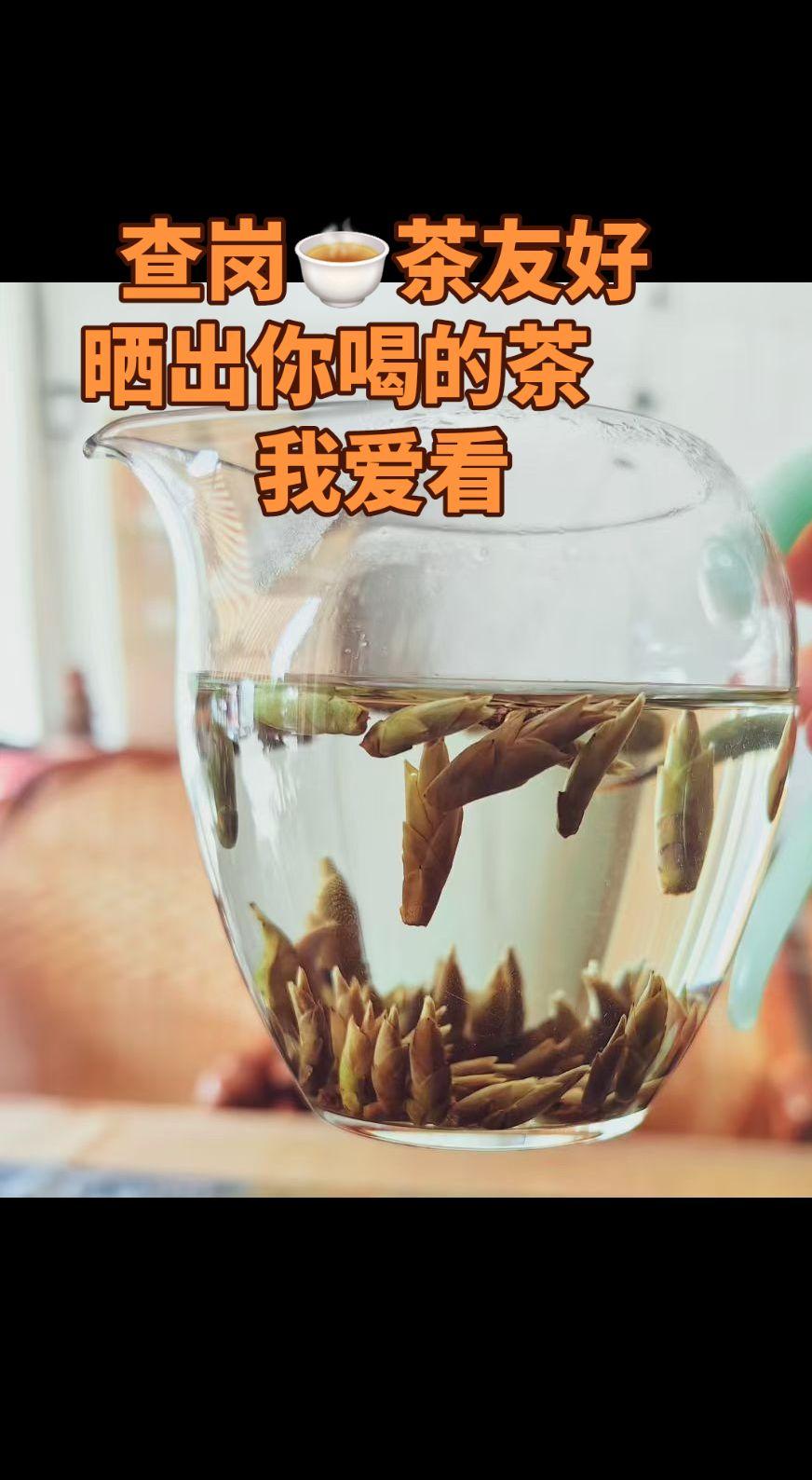 云一杯🍵一起喝茶