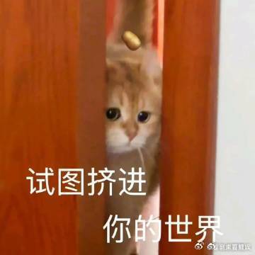沉浸式感受科技氛围拉满的深圳来深圳旅游最意外的惊喜，是在展馆里看机器人整活，比逛