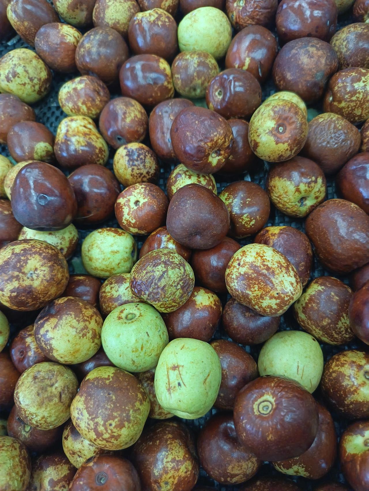 晒图笔记大赛逛超市时，在果蔬区被一堆圆滚滚的枣子勾住了脚步。它们挤挤挨挨地堆在筐