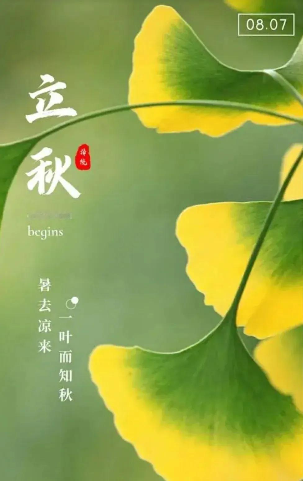 立秋啦
夏已尽，秋已至
夏天将成为美好的故事
暑去凉来
一叶知秋
接下来的日子
