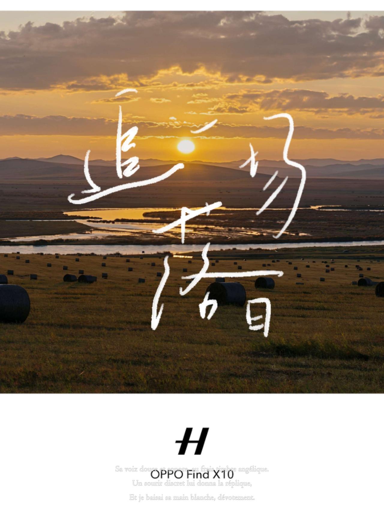 落日熔金凝白桦，
层林漫晕暖烟霞。
光穿树杪筛斜照，
影落芳甸覆软纱。
远岫无言