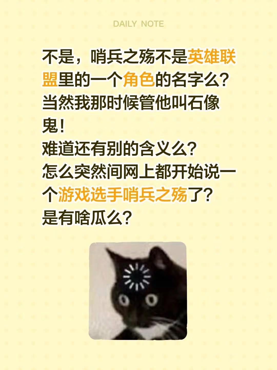 不是，哨兵之殇不是英雄联盟里的一个角色的名字么？当然我那时候管他叫石像鬼！难道还