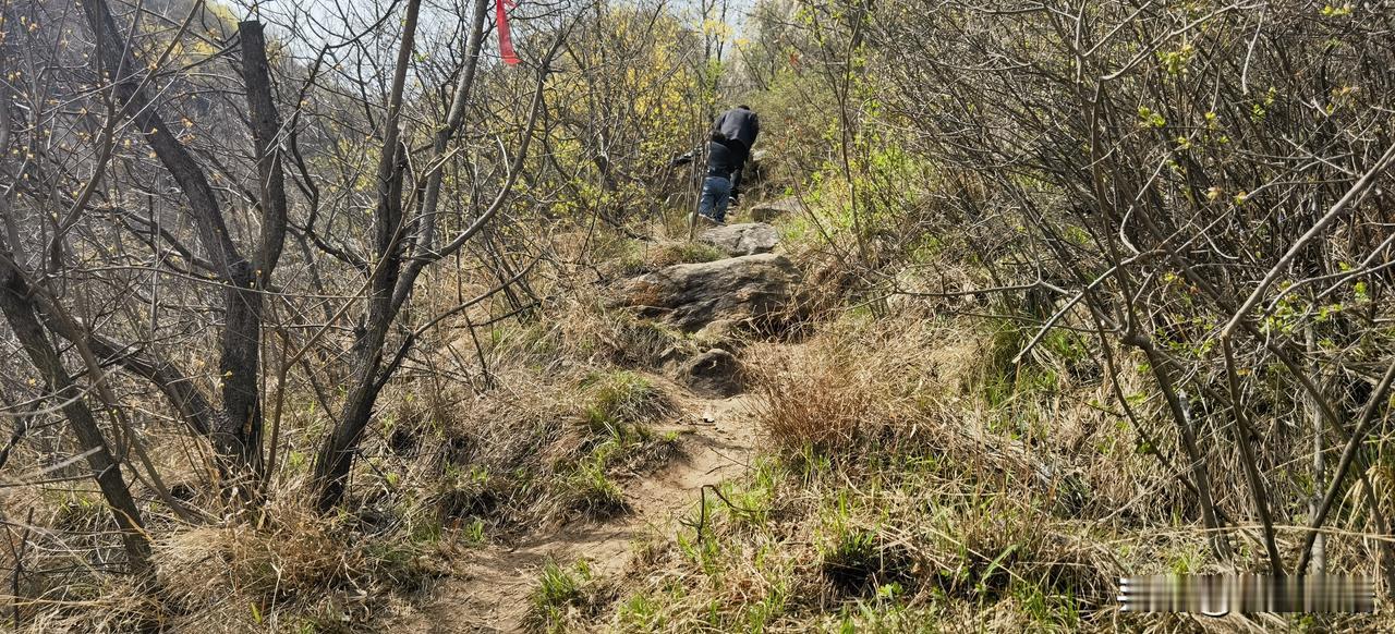 前天去山边散步，不小心悠到了山上，又不小心从陌生路道上返程，在断崖处惆怅失然。此