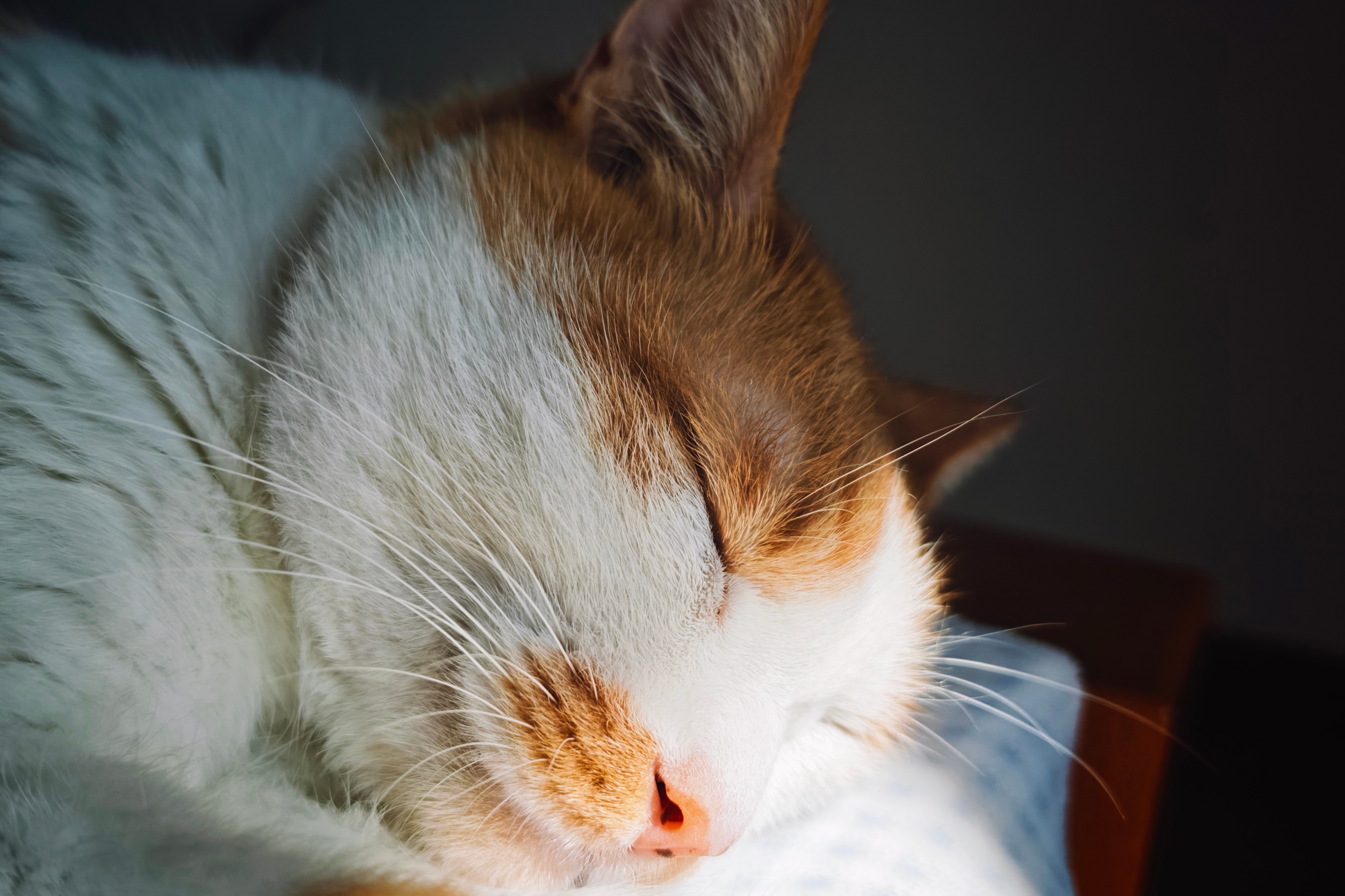 小米17Pro的这个街拍真的，相机里面最好用功能了 